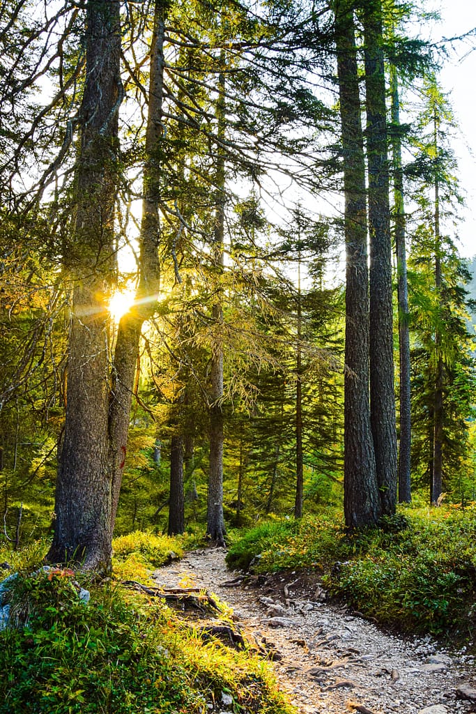 Sacred Space Retreat